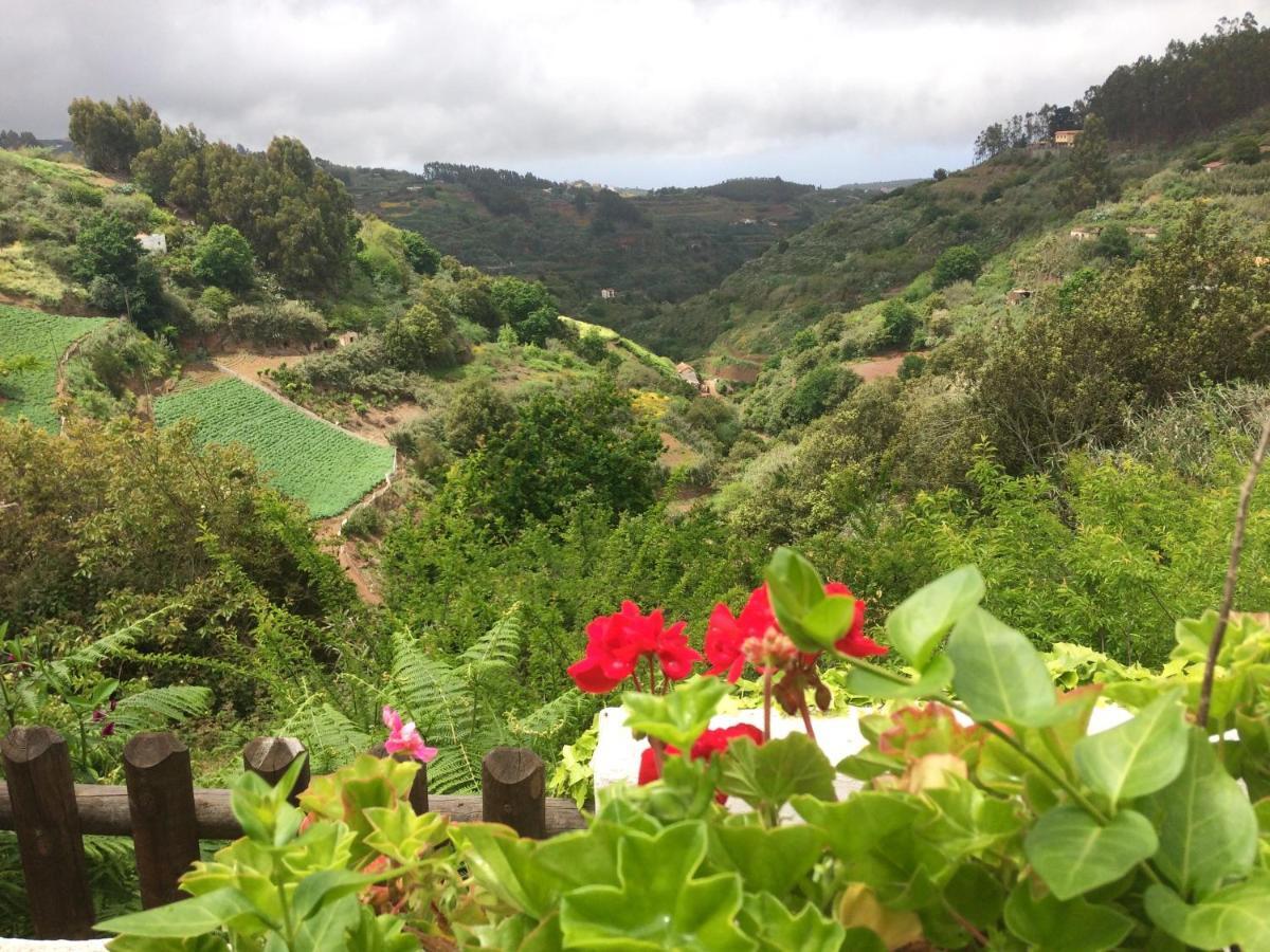 Bella Doramas Casas Rurales Panchita & Millo Moya  Luaran gambar